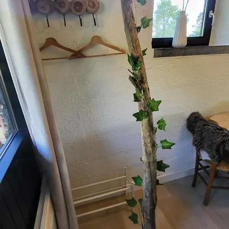 Appartement Cocoon Ny - Durbuy *