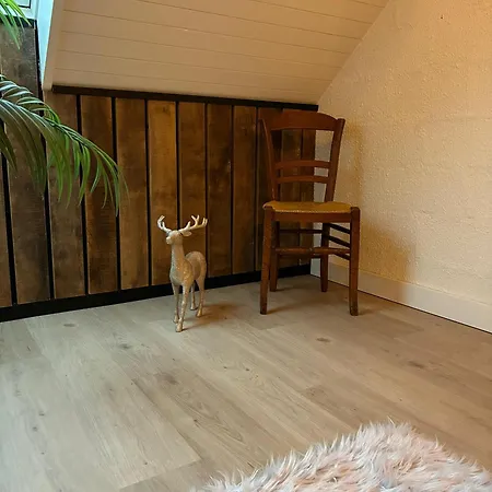 Cocoon Ny - Durbuy *