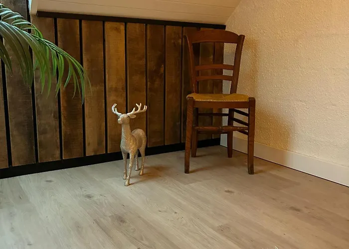 Cocoon Ny - Durbuy *