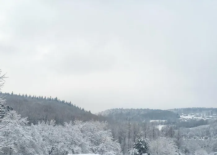 Cocoon Ny - Durbuy شقة هوتون